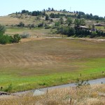 Marshall Property