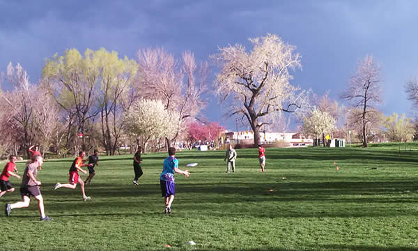 feat_Ultimate-Frisbee