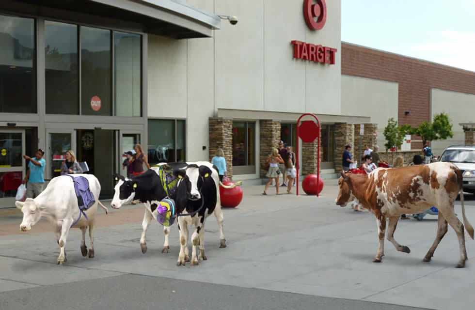 Shirley Shops at Target Stores, Boulder Colorado