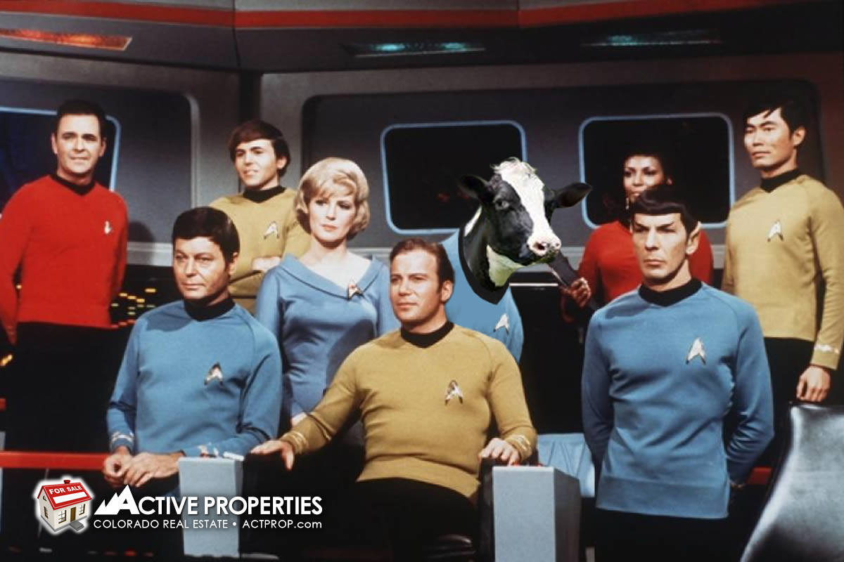 StarTrekShirley