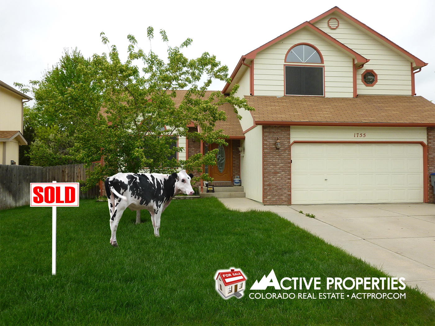 SOLD  Foster Dr Longmont South side of Longmont and an easy walk to Oscar Blues for a beer.