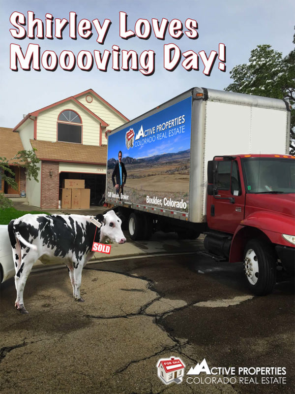 Moooving Day